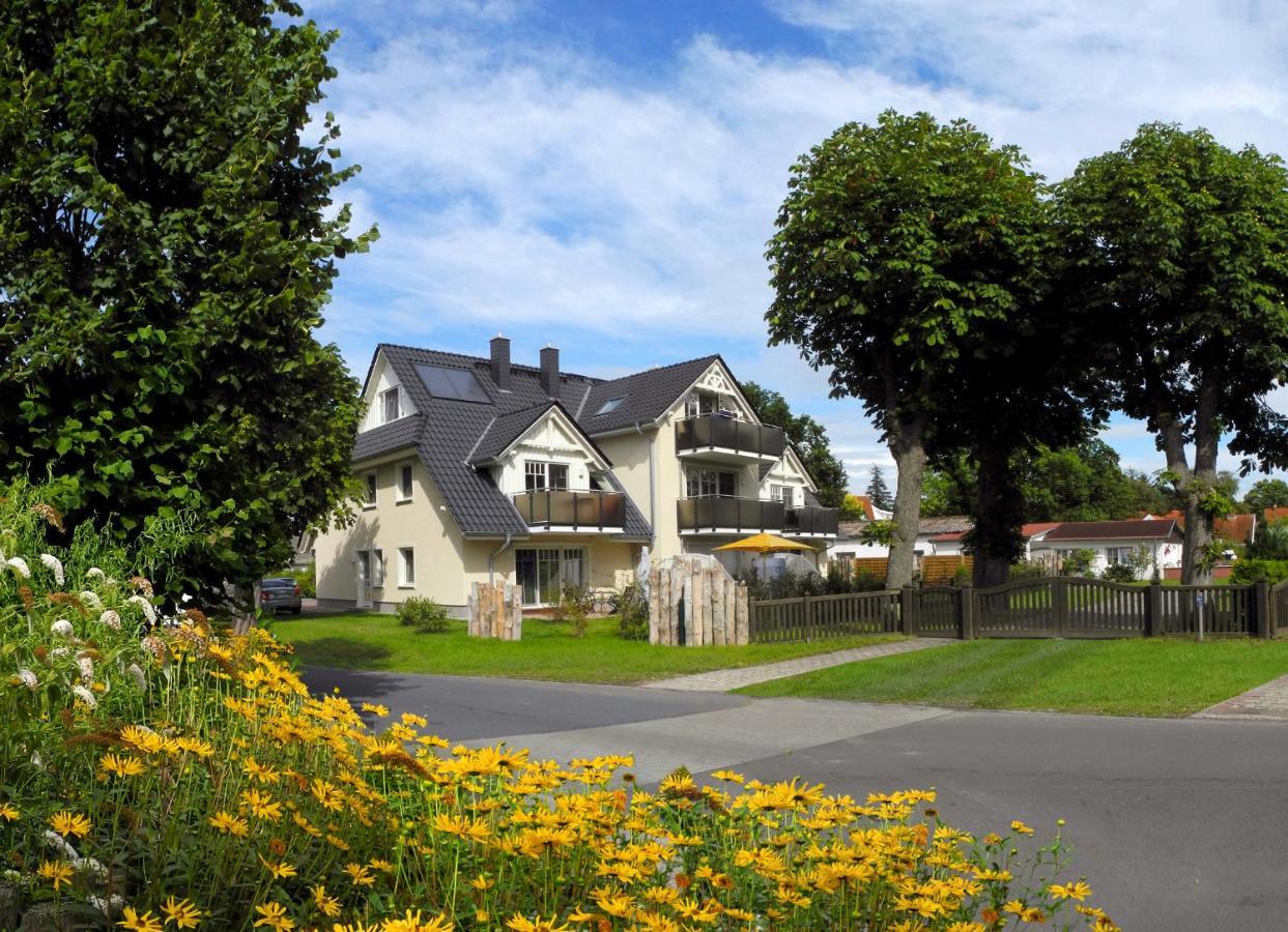 Neue Reihe 28 - Wohnung Vogelnest Zingst Zewnętrze zdjęcie